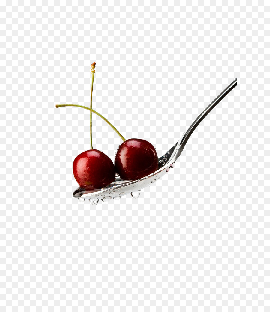 Cherry Anh tomentosa Vitamin - quả anh đào