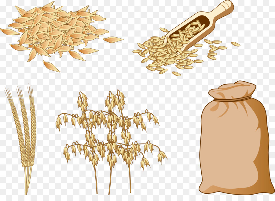Wheat Cartoon png download - 2950*2101 - Free Transparent Cereal png  Download. - CleanPNG / KissPNG