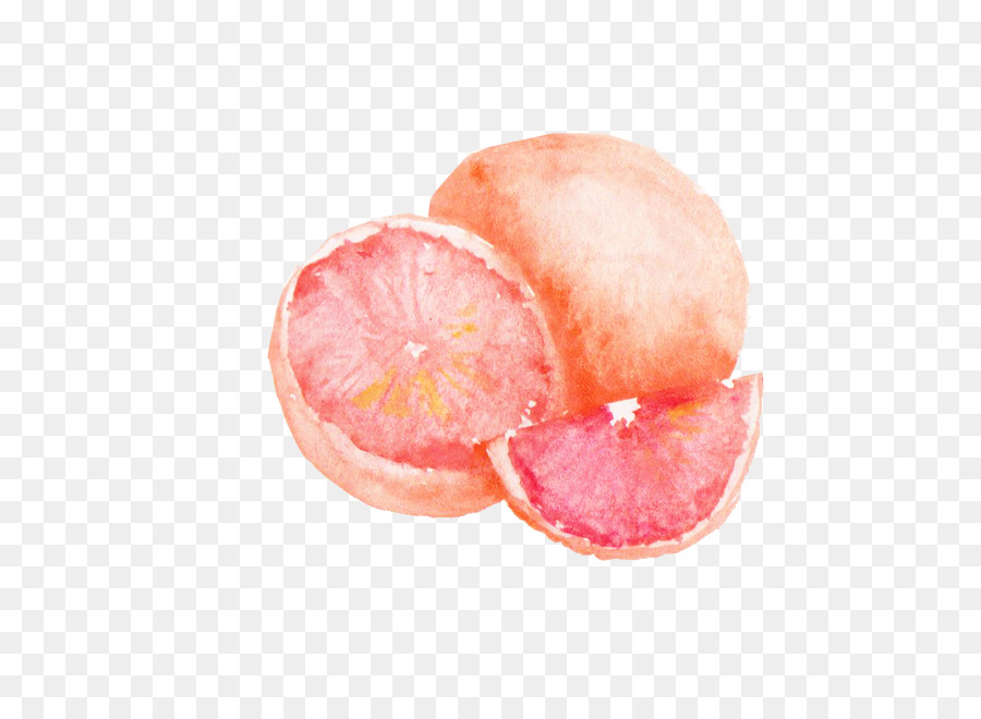 Stillleben mit Orangen-Erdbeer-Grapefruit Greipfrutas - grapefruit