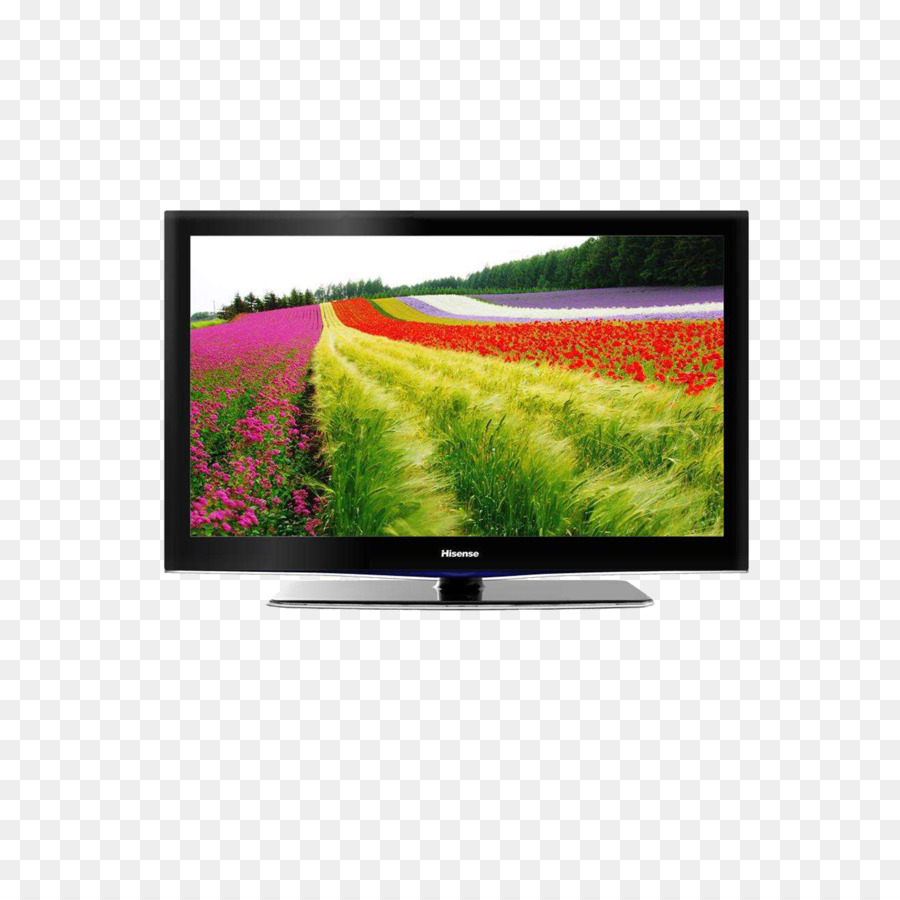 TV-Antenne Digital TV-High-definition-Fernsehen - Hisense TV