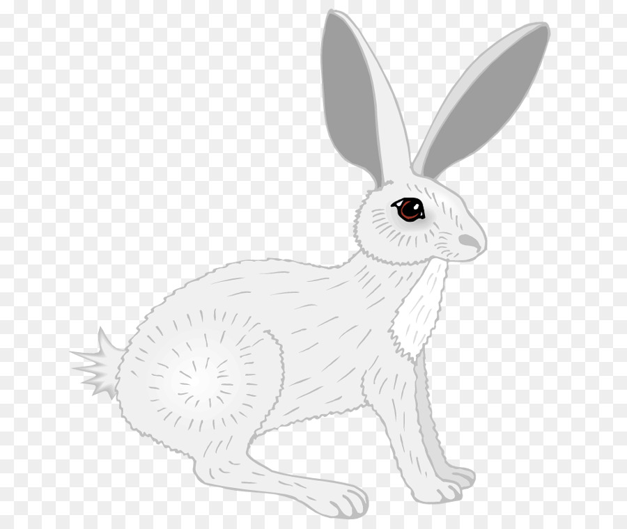 Domestic rabbit White Rabbit Hare Linie Kunst - Bilder Kaninchen