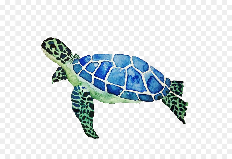 Green sea turtle Farbe - Süße, kleine Schildkröte