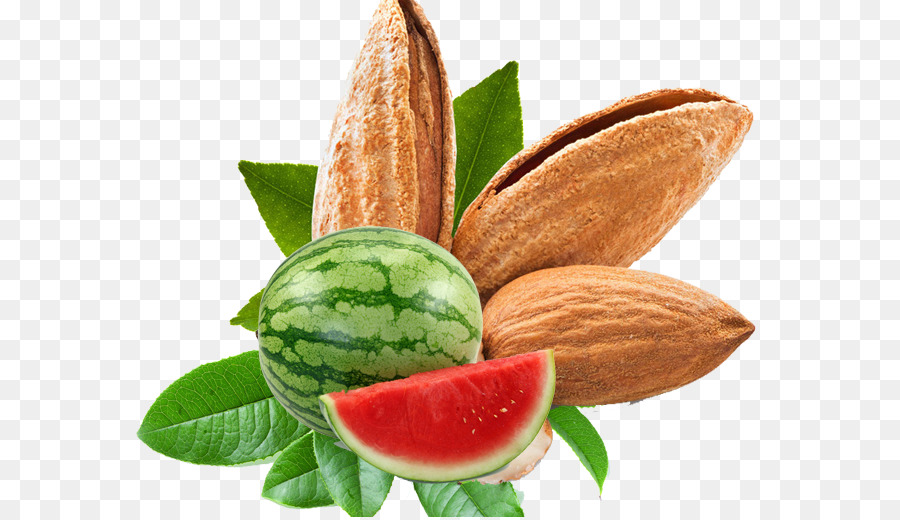Mandel-Nuss-Food-Apricot kernel - Pistazien und Wassermelone