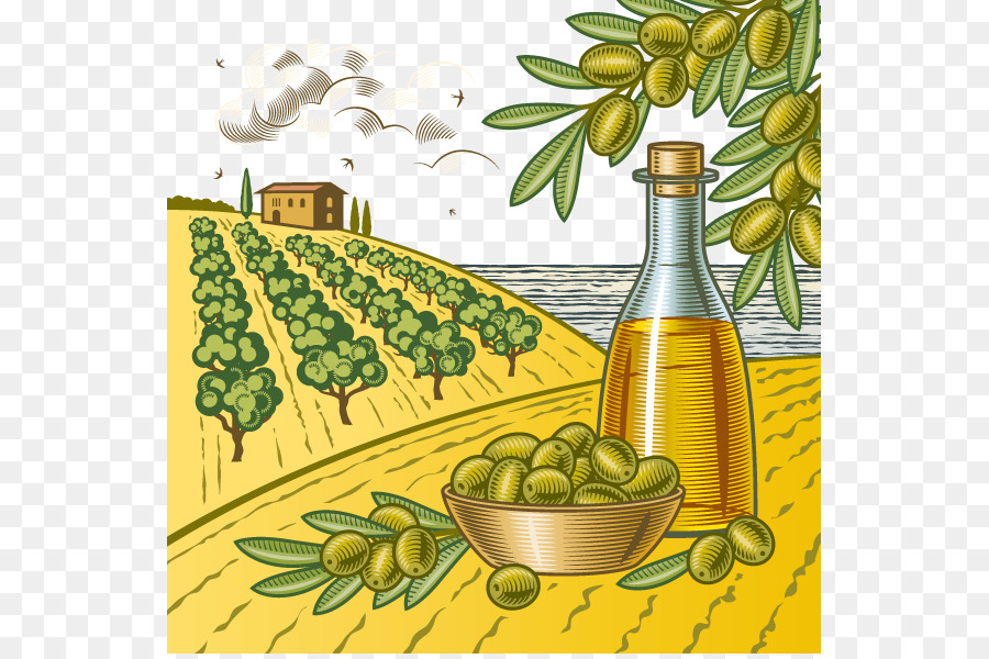 Olive Clip-art - Vektor-Olivenöl