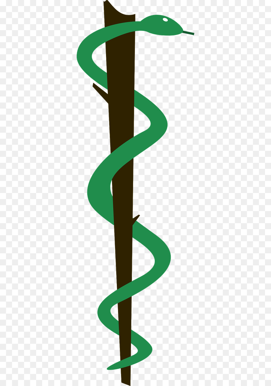 Lituano Università di Scienze della Salute Medicina Simbolo - serpente verde