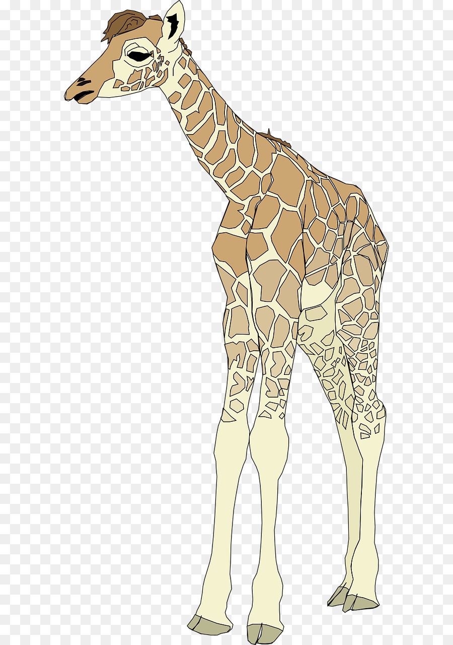 Giraffe Clip-art - Starke Hirsche