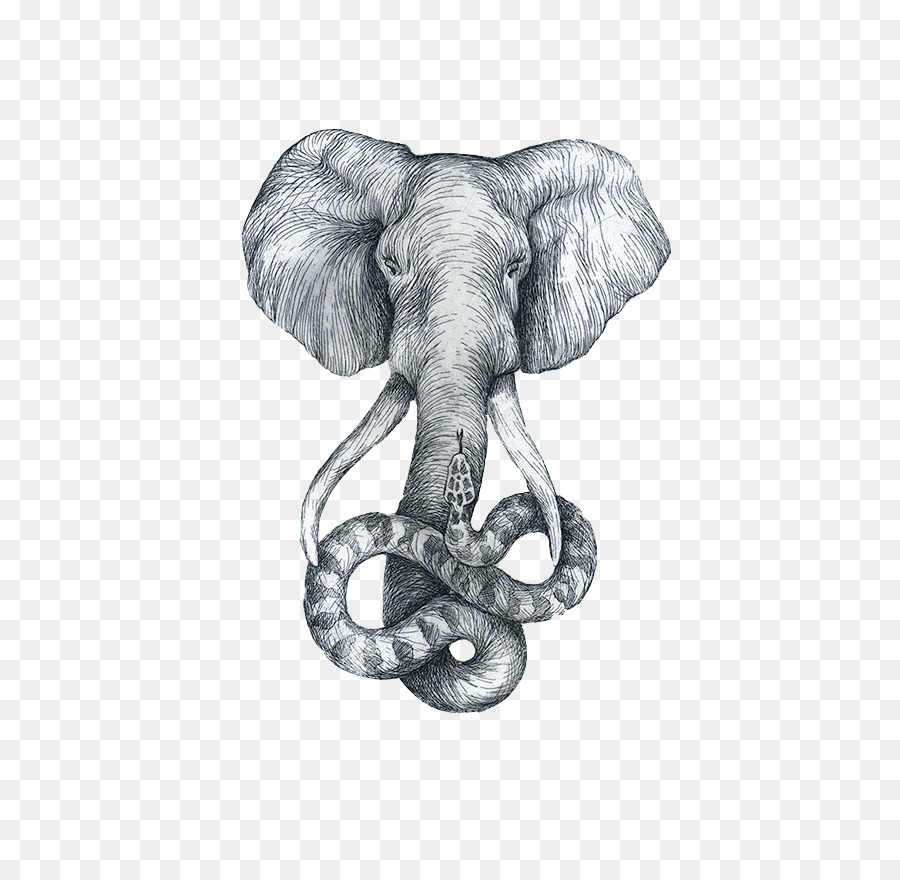 Zeichnung afrikanischer Elefant-Skizze - Elephant-headed snake Nase