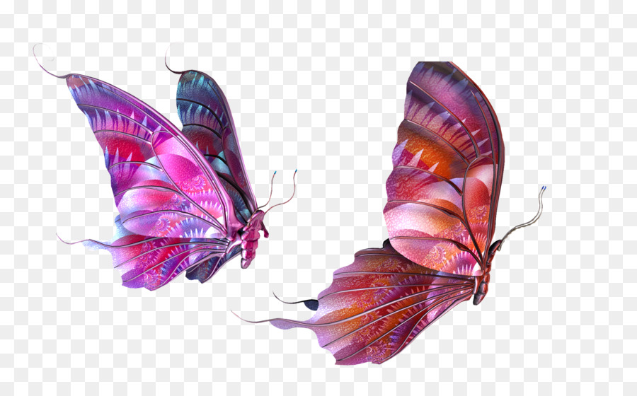 Bướm Clip nghệ thuật - Cả hai con bướm màu tím