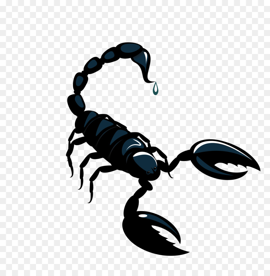 Scorpion Chiêm tinh, đừng Tử vi Chiêm tinh học - Véc tơ bò cạp đen liệu