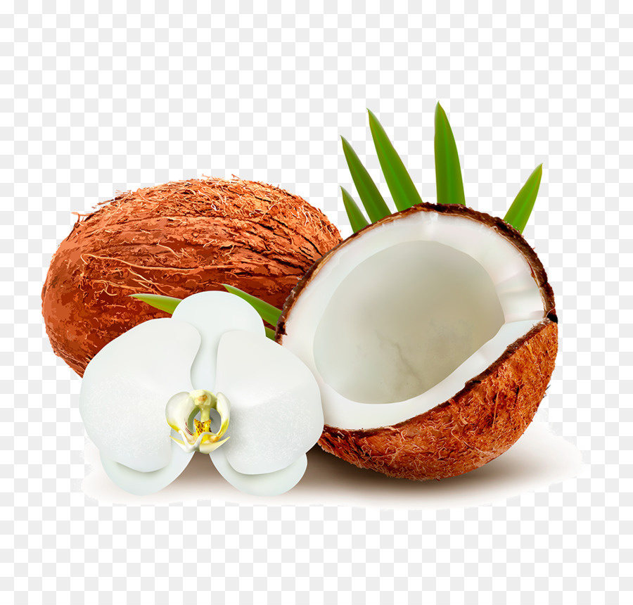 Kokosnuss-Wasser, Kokosnuss-Milch, Clip-art - Kokos