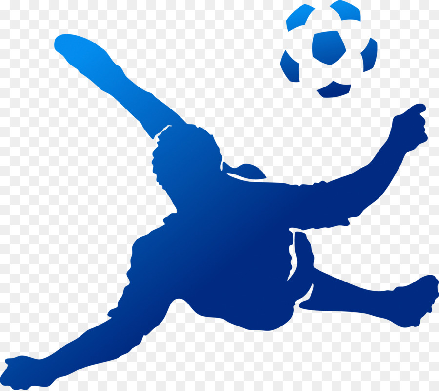 2014 Coppa del Mondo FIFA 2018 della Coppa del Mondo FIFA Brasile, Calcio, Futsal - campo di calcio