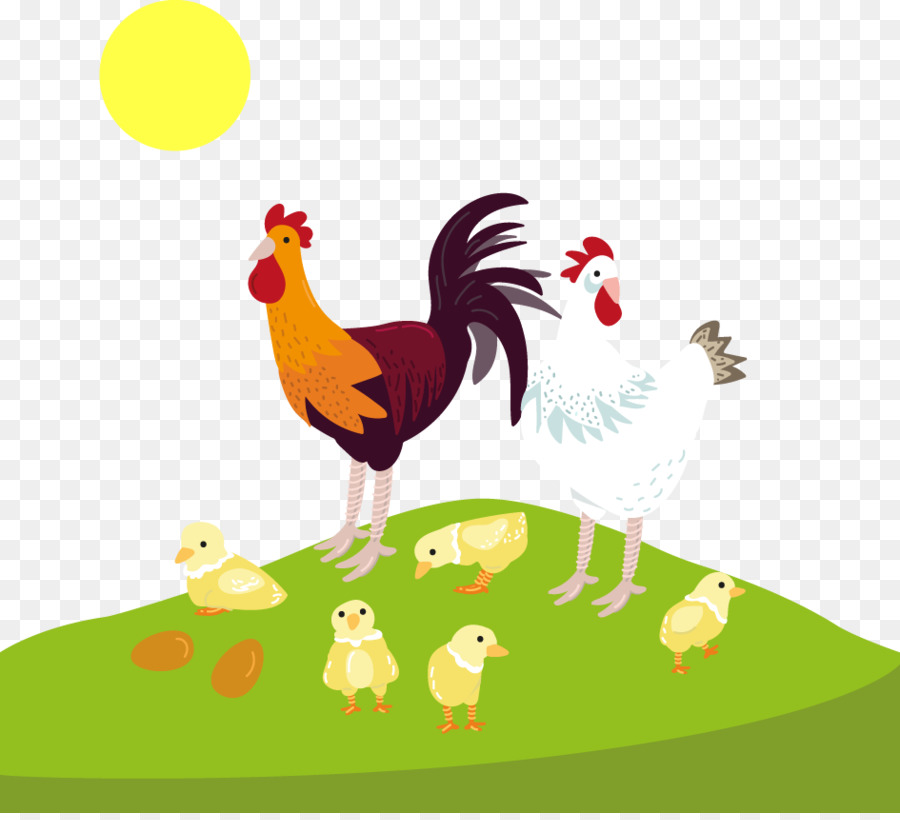 Huhn Hahn - Vektor-cartoon rooster hen chicks sunrise