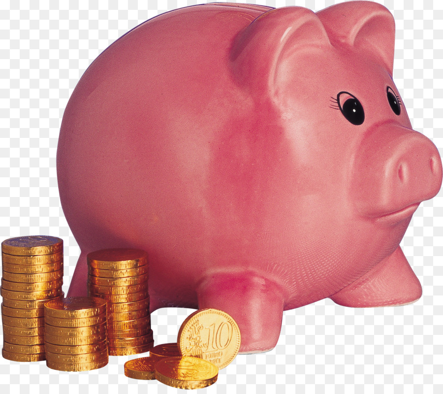Hausschwein Piggy bank-Geld-Münze - sparschwein