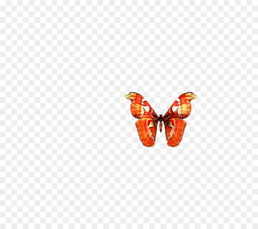 Butterfly Gel-Nägel Nagel-Kunst-Maniküre - Schmetterling,Insekt,Muster