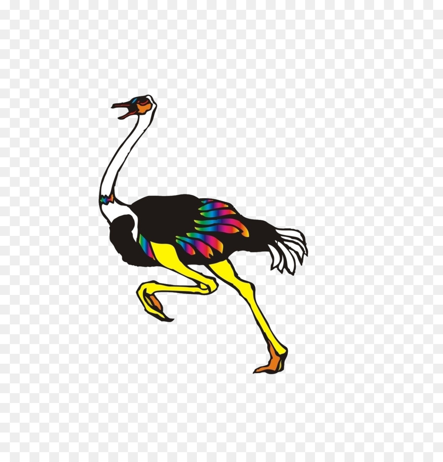 Chung đà điểu Chim và Người chim hồng Hạc Pelican - Chạy đà điểu