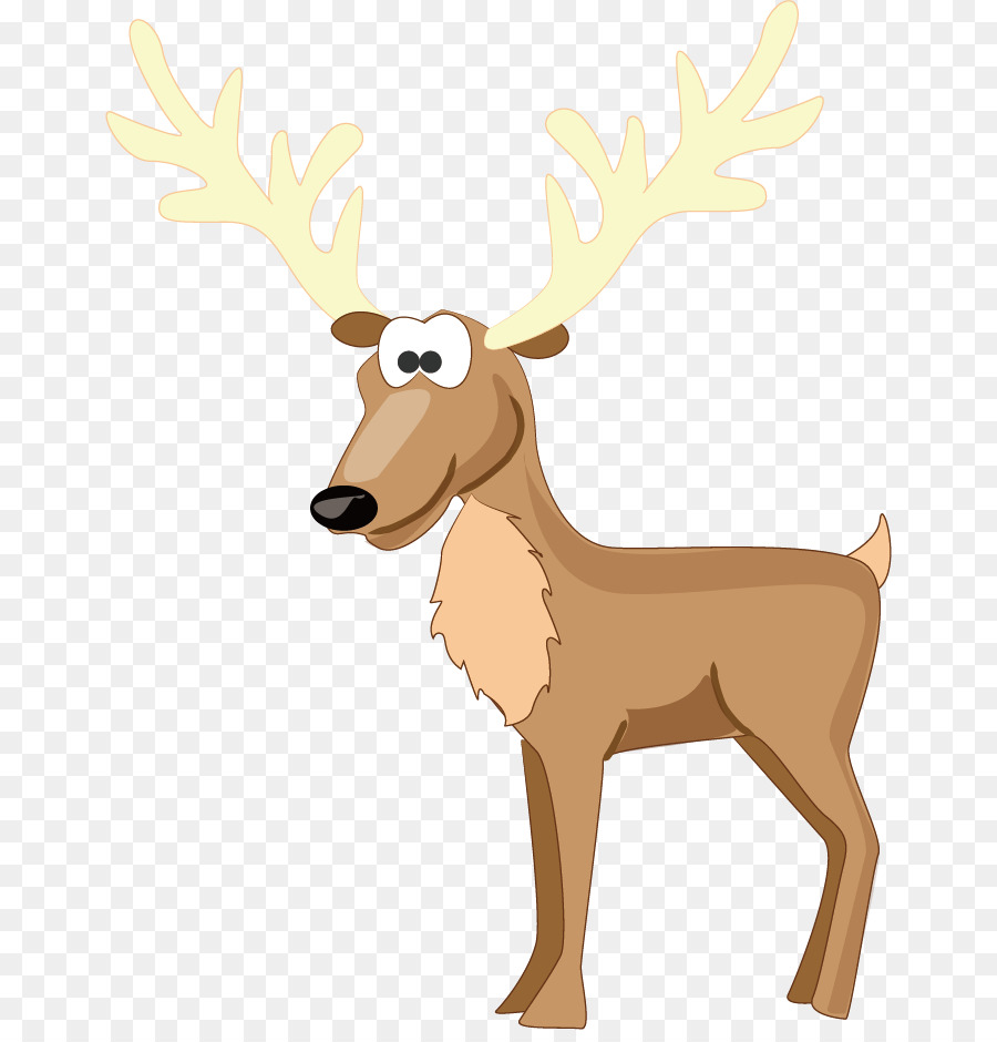 Reindeer, Deer, Santa Claus, Animal, Christmas , Arabic, Name, Cartoon, San...