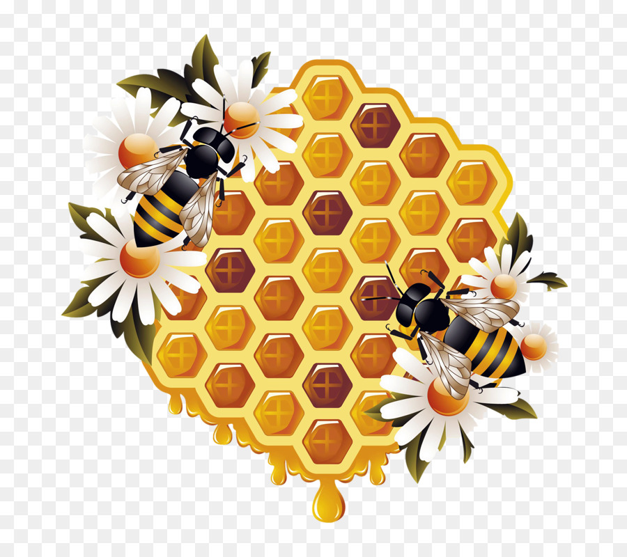 Ong mật Ong Bumblebee - con ong