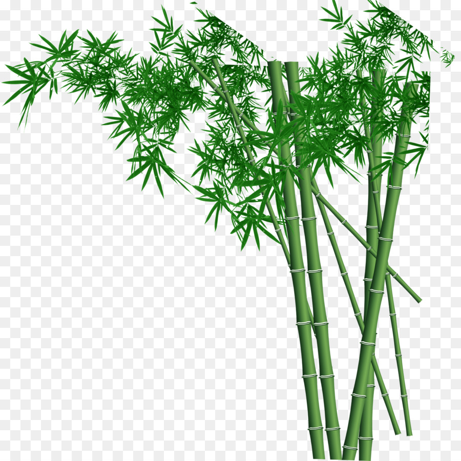 Wand-Bambus-Tapete Fundal - Bambus