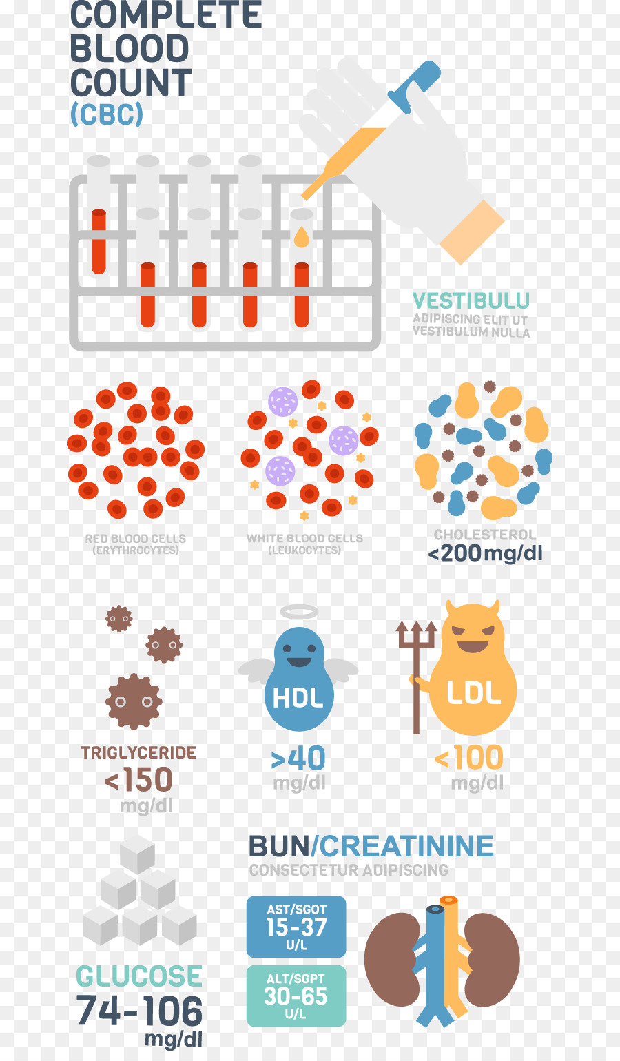 Medizin Infografik Blut-test Abbildung - Krankenhaus-Blut-Test material