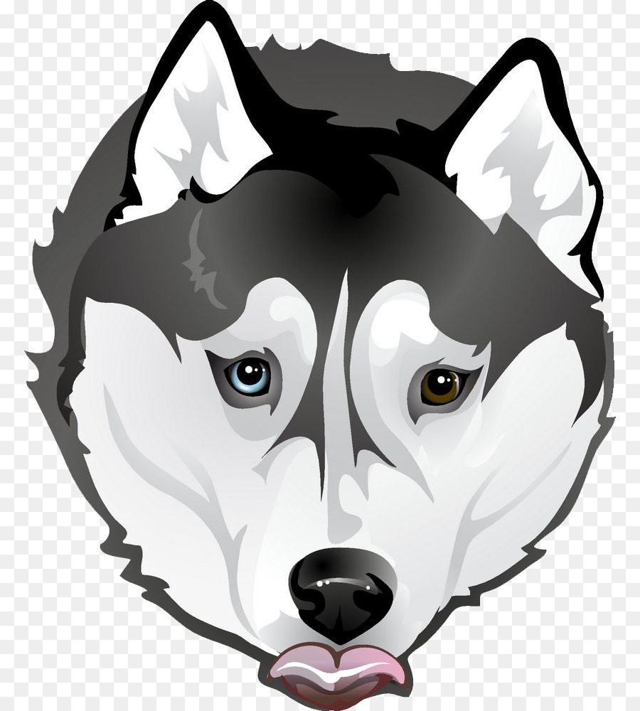 Thông tin và đặc điểm về giống chó Husky Sibir  Cún Yêu  Cách Chăm Sóc Chó   Kinh Nghiệm Nuôi Chó  Cún Yêu Đẹp