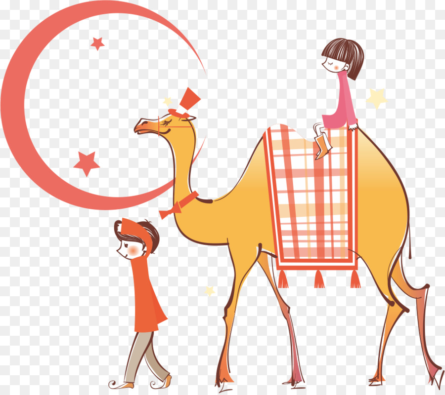 Cammello Cartoon Illustrazione - A dorso di cammello