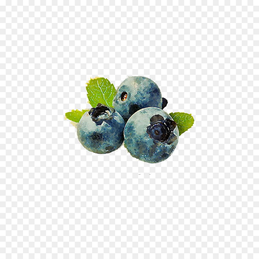 Heidelbeere-Frucht-Muffin Vaccinium corymbosum - blueberry