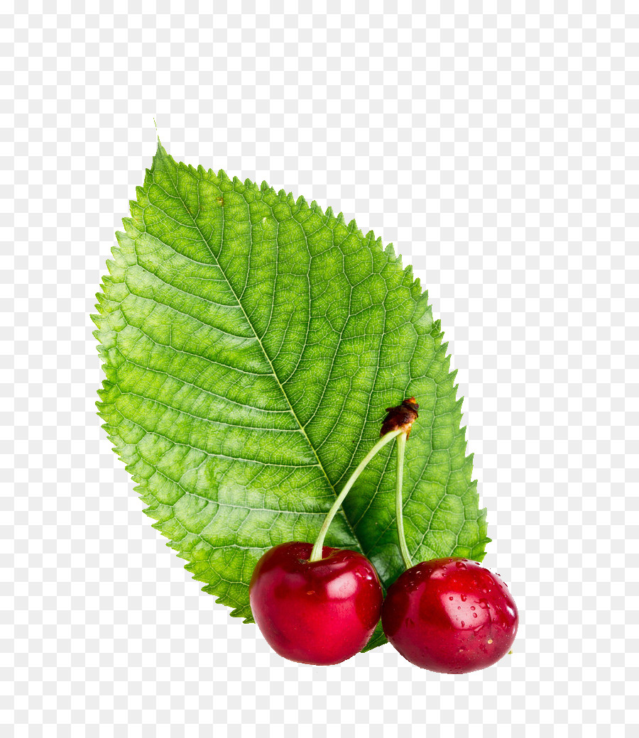 Cherry Poster Alimento Latte - ciliegia