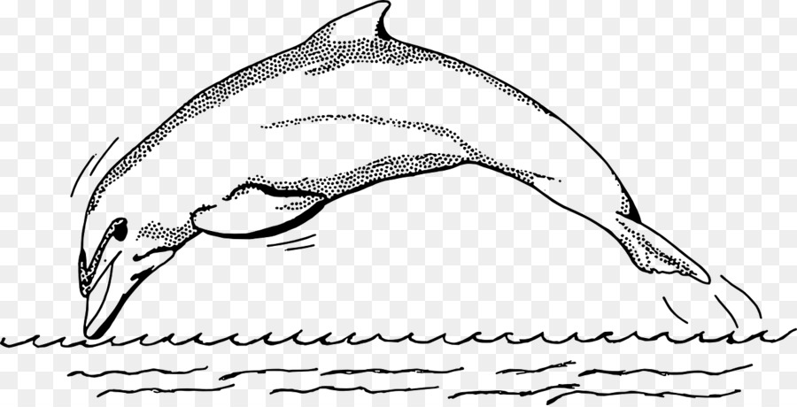 Spinner dolphin Clip-art - Delphin
