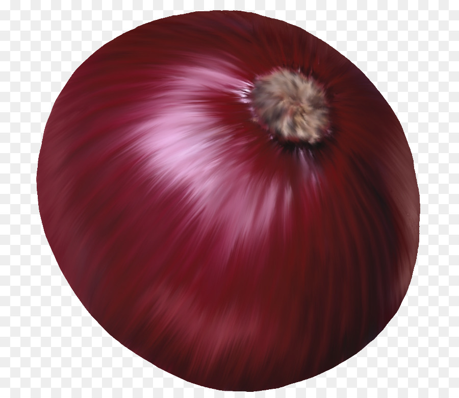 Cipolla rossa di Verdure Clip art - Verdure cipolla