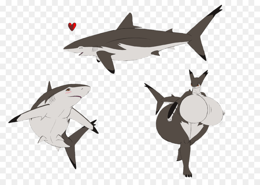 Grande squalo bianco Chondrichthyes squalo volpe occhione - HD squalo