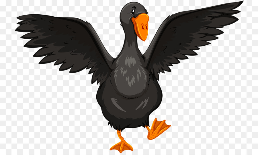 Ente, Gans Abbildung - Black Duck