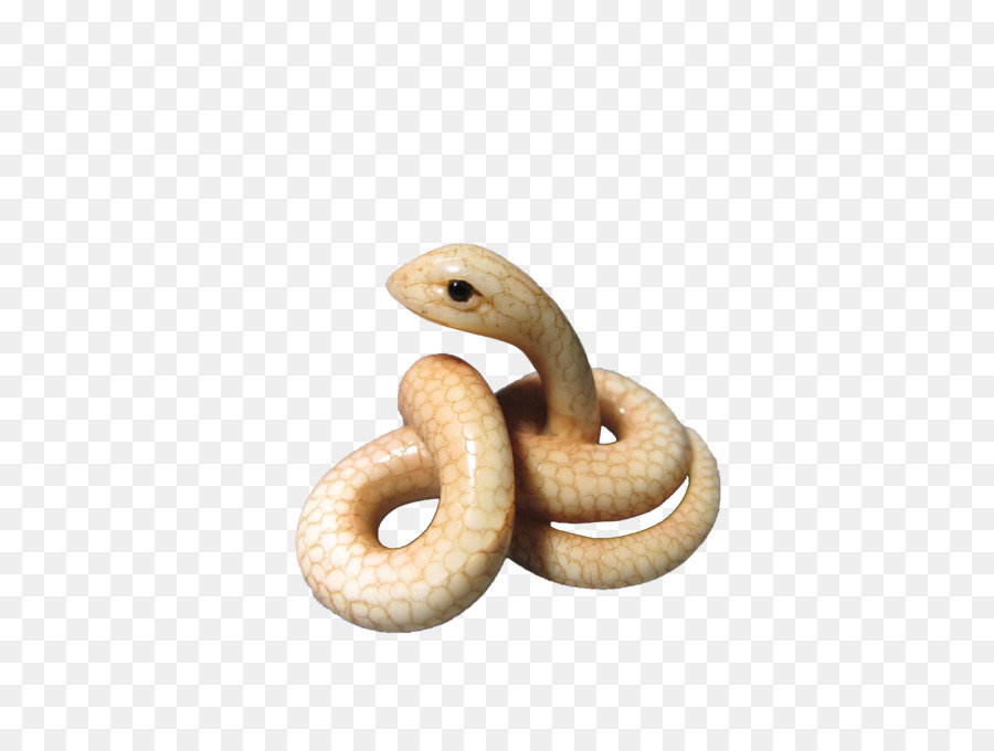 Rattlesnake - White snake