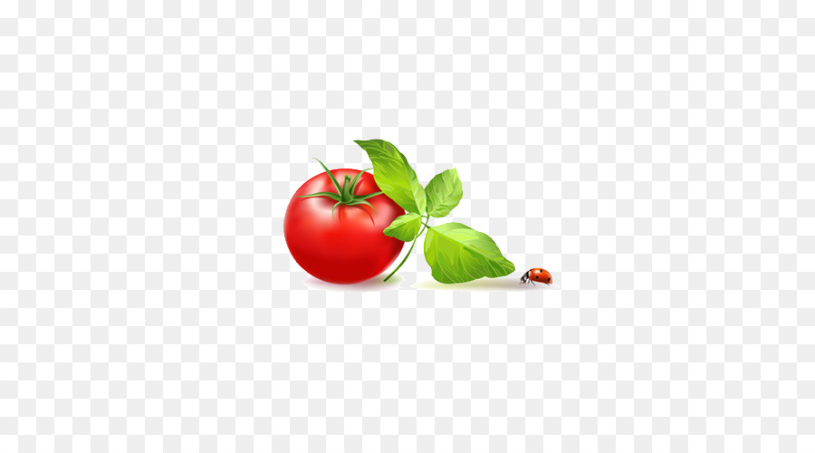 Cà chua Rau Clip nghệ thuật - cà chua