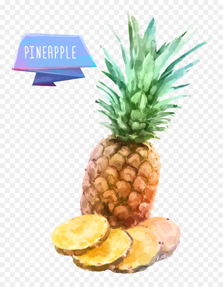 Frutta INGE S. p.Un Disegno Acquarello - Ananas