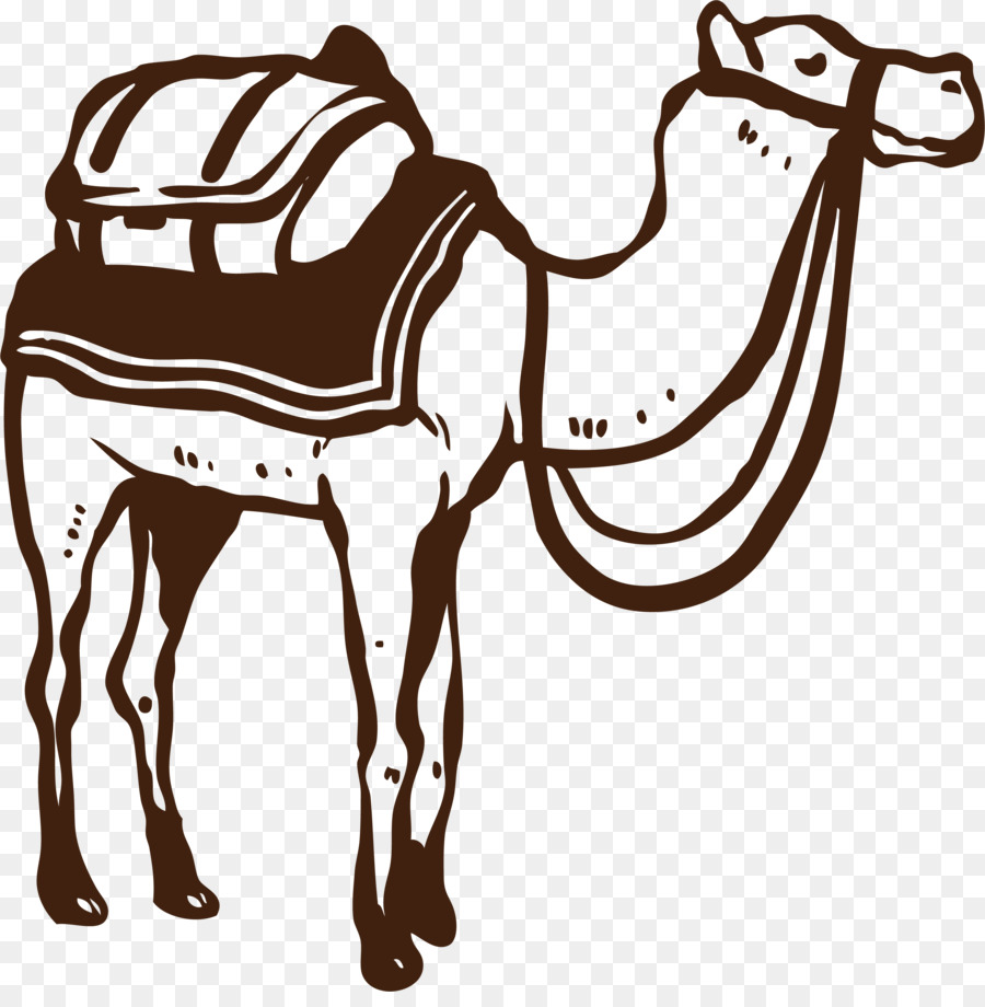 cammello nel deserto - Cammello nel deserto