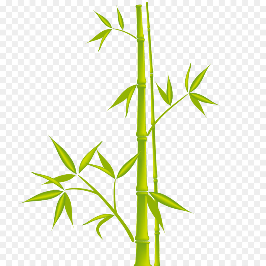 Bambus-Royalty-free clipart - Bambus