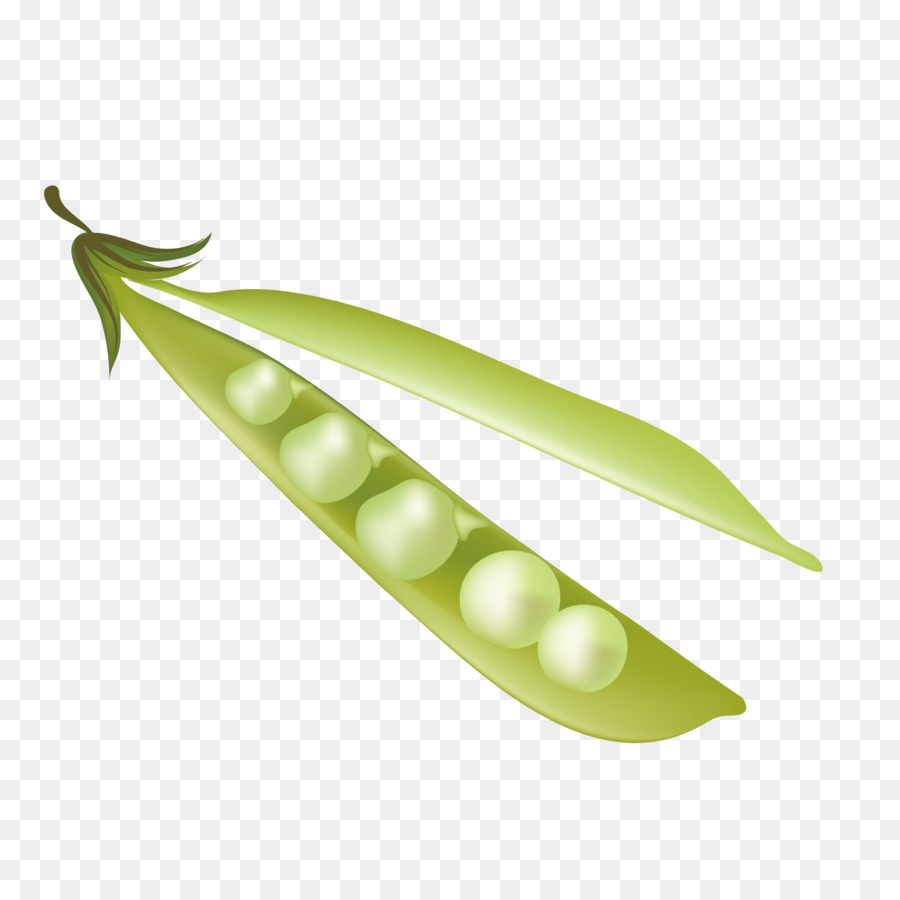 Erbse - Vektor pea-Hörner