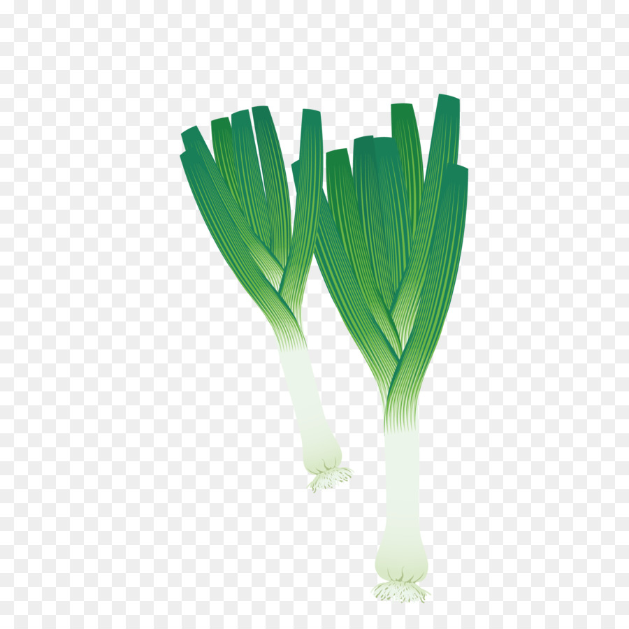 Lauch Gemüse-Lauch Clip-art - Frische Zwiebeln