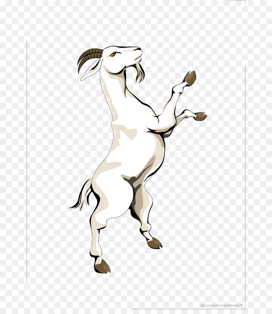 Ziegenkäse Pferd Zeichnung - Ziege stehend
