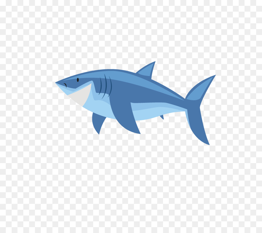 il requiem di squalo - cartone animato di squalo