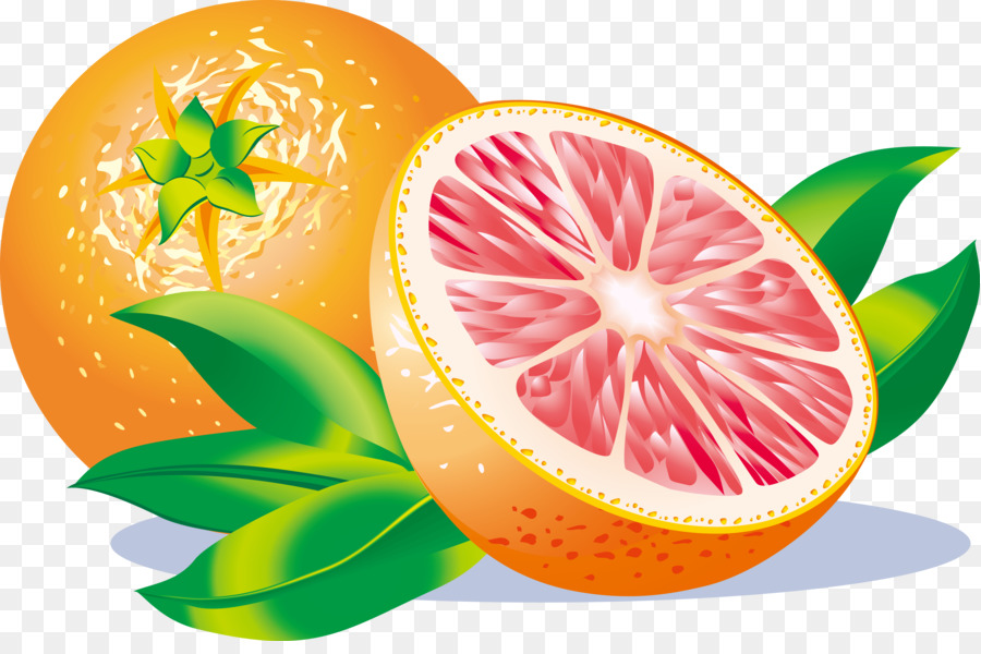 Grapefruit juice Sour Grapefruit juice und Lemon - Cartoon-Vektor-grapefruit-material