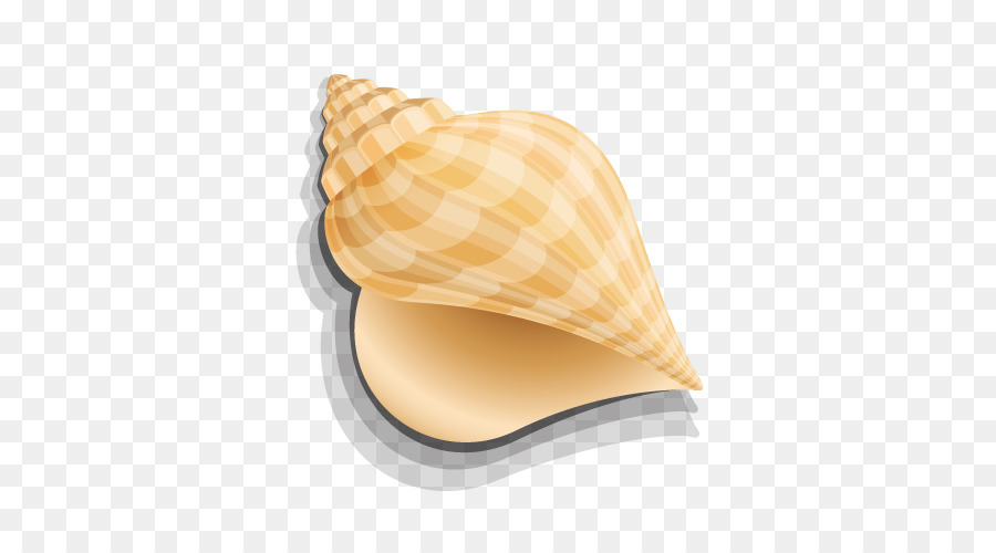 Seashell Computer graphics - Goldene Muschel