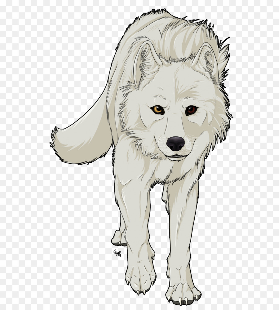 Wolf Cartoon png download - 638*1000 - Free Transparent Gray Wolf png  Download. - CleanPNG / KissPNG