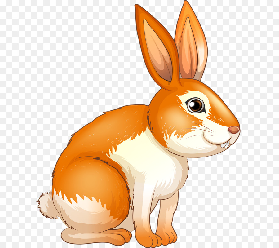 Europäische Kaninchen Lizenzfreie Illustrationen - niedlichen Bunny