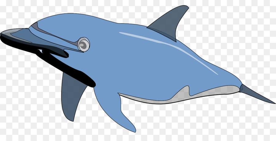 Mồi cá heo cá heo Clip nghệ thuật - màu xanh dolphin