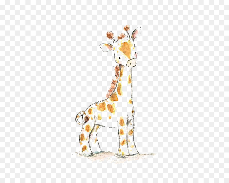 Giraffa Disegno Acquarello Bambino - giraffa