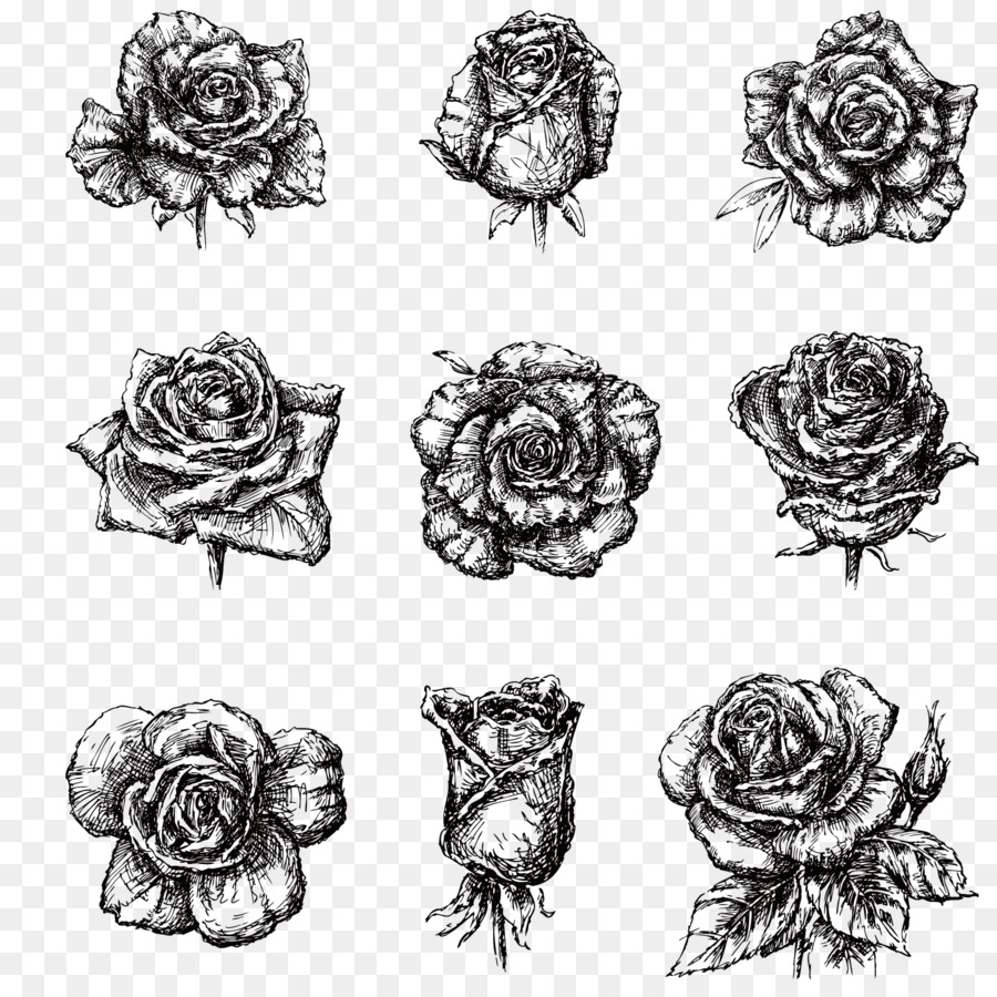 Zeichnung Schwarz und weiß-Bild - Hand-schwarz lackiert und weiße Rosen