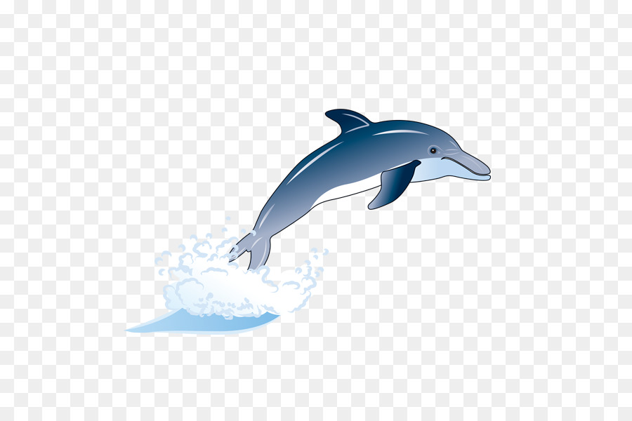 Wholphin Common bottlenose dolphin Short-beaked common dolphin Tucuxi Rough-toothed dolphin - Delphin