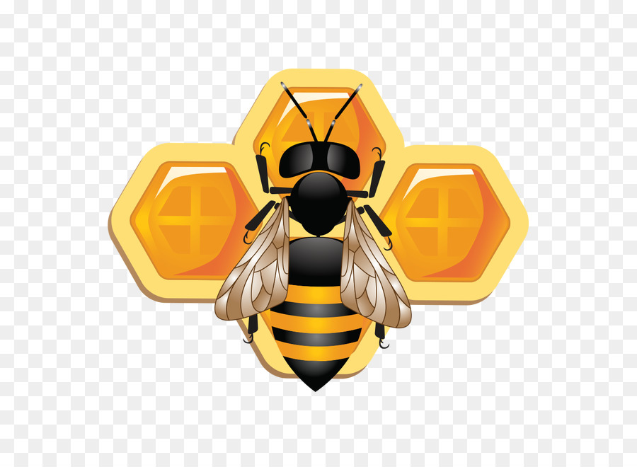 Ong mật Ong Hoạ - con ong