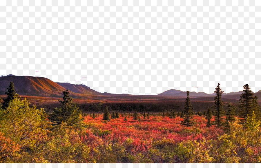 1080p High-definition-video High-definition-Fernsehen WUXGA Wallpaper - Vereinigten Staaten Denali National Park zehn